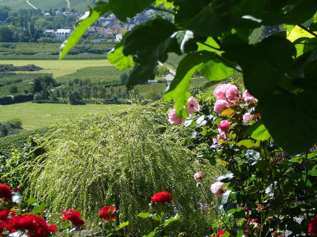 Hotel Des Vignes Restaurant Du Pressoir Remich Luxembourg